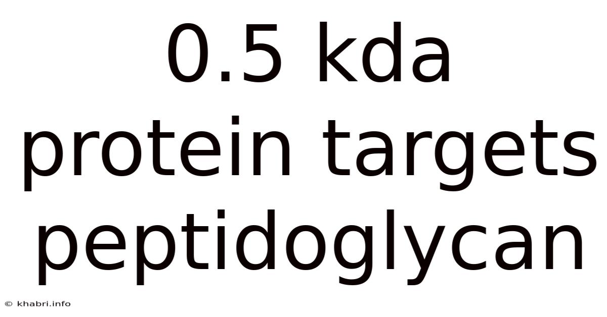 0.5 Kda Protein Targets Peptidoglycan
