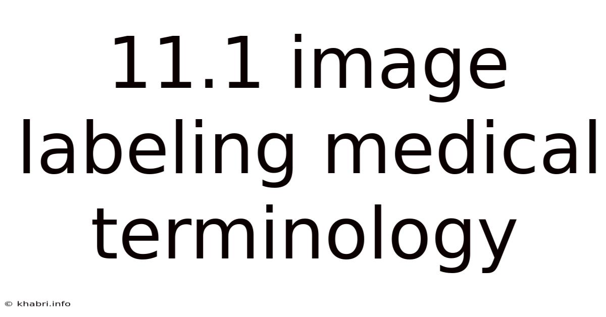 11.1 Image Labeling Medical Terminology