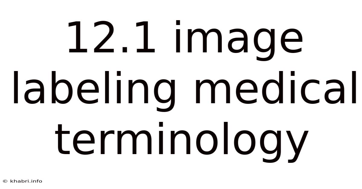 12.1 Image Labeling Medical Terminology