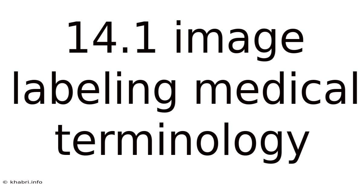 14.1 Image Labeling Medical Terminology