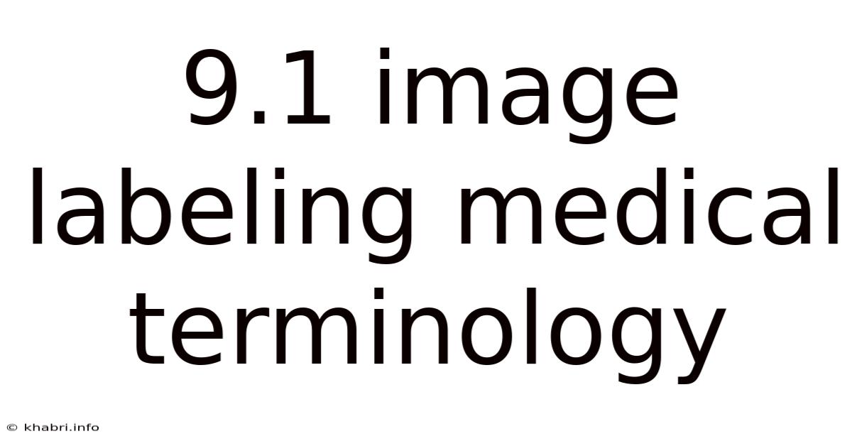 9.1 Image Labeling Medical Terminology