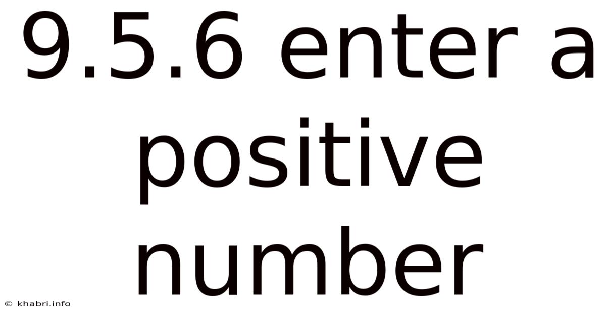 9.5.6 Enter A Positive Number
