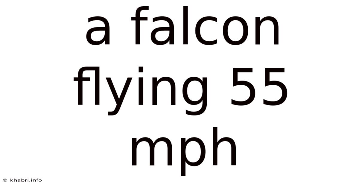 A Falcon Flying 55 Mph