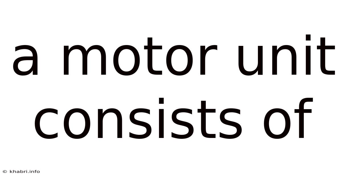 A Motor Unit Consists Of