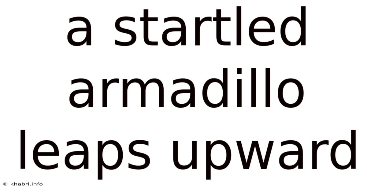 A Startled Armadillo Leaps Upward