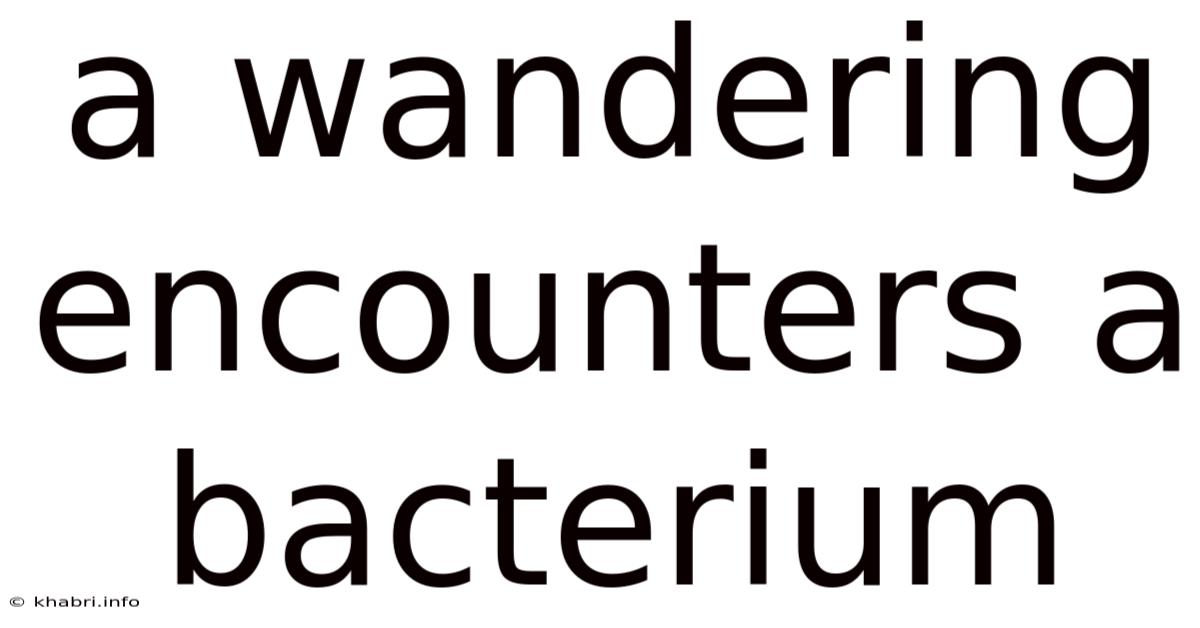 A Wandering Encounters A Bacterium