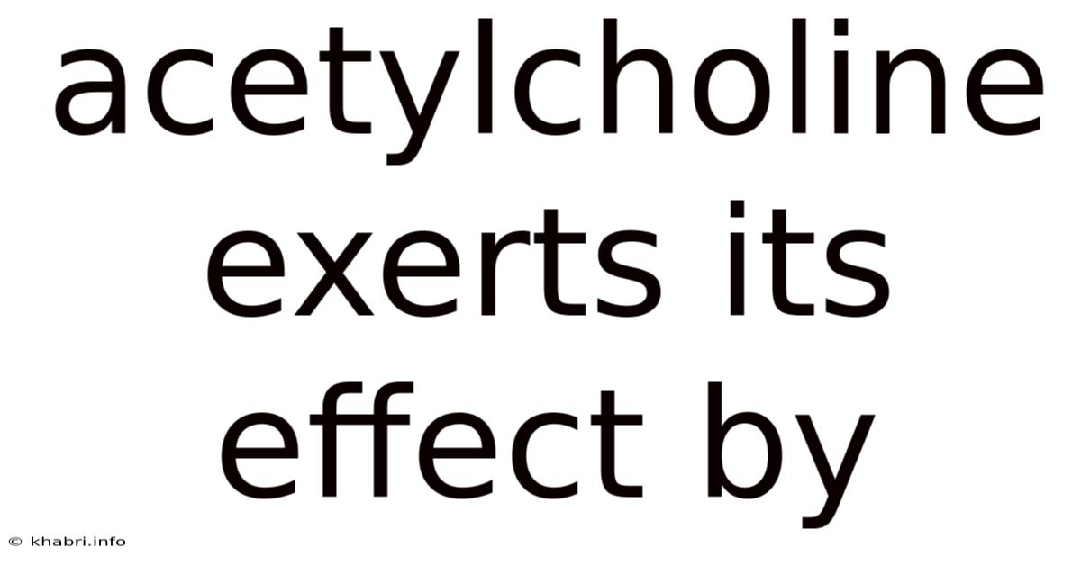 Acetylcholine Exerts Its Effect By