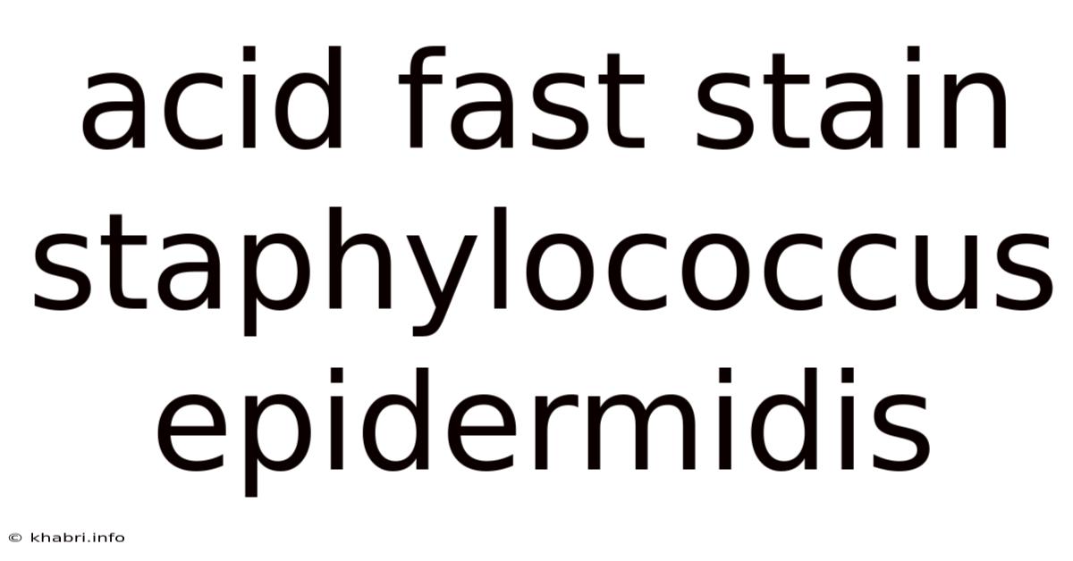 Acid Fast Stain Staphylococcus Epidermidis