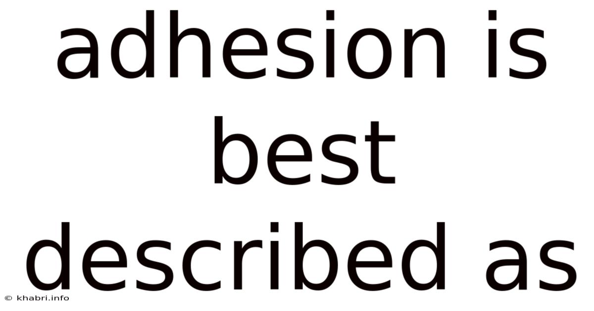 Adhesion Is Best Described As