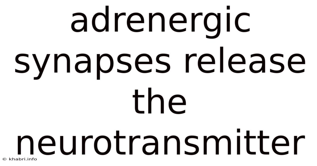 Adrenergic Synapses Release The Neurotransmitter