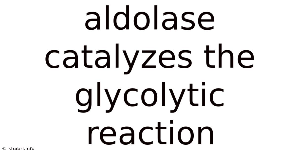 Aldolase Catalyzes The Glycolytic Reaction