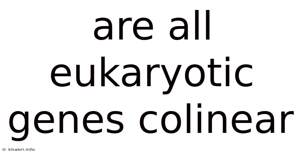 Are All Eukaryotic Genes Colinear