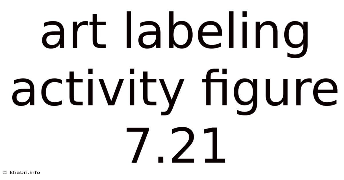 Art Labeling Activity Figure 7.21