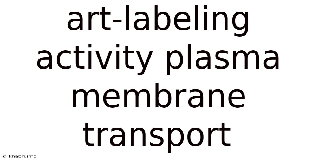 Art-labeling Activity Plasma Membrane Transport