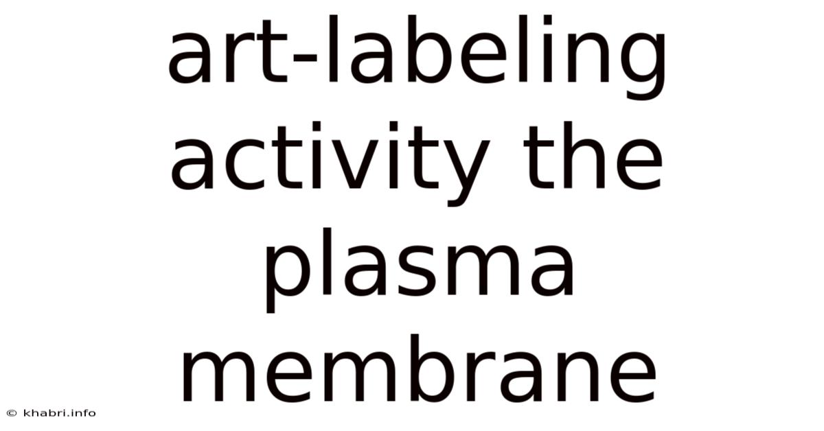 Art-labeling Activity The Plasma Membrane
