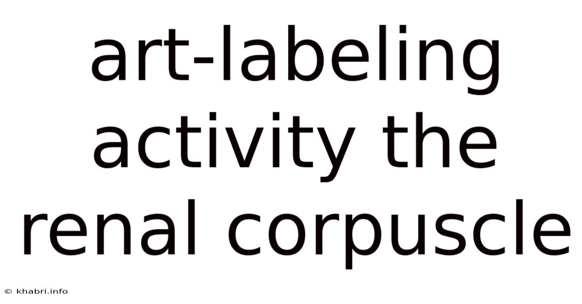 Art-labeling Activity The Renal Corpuscle