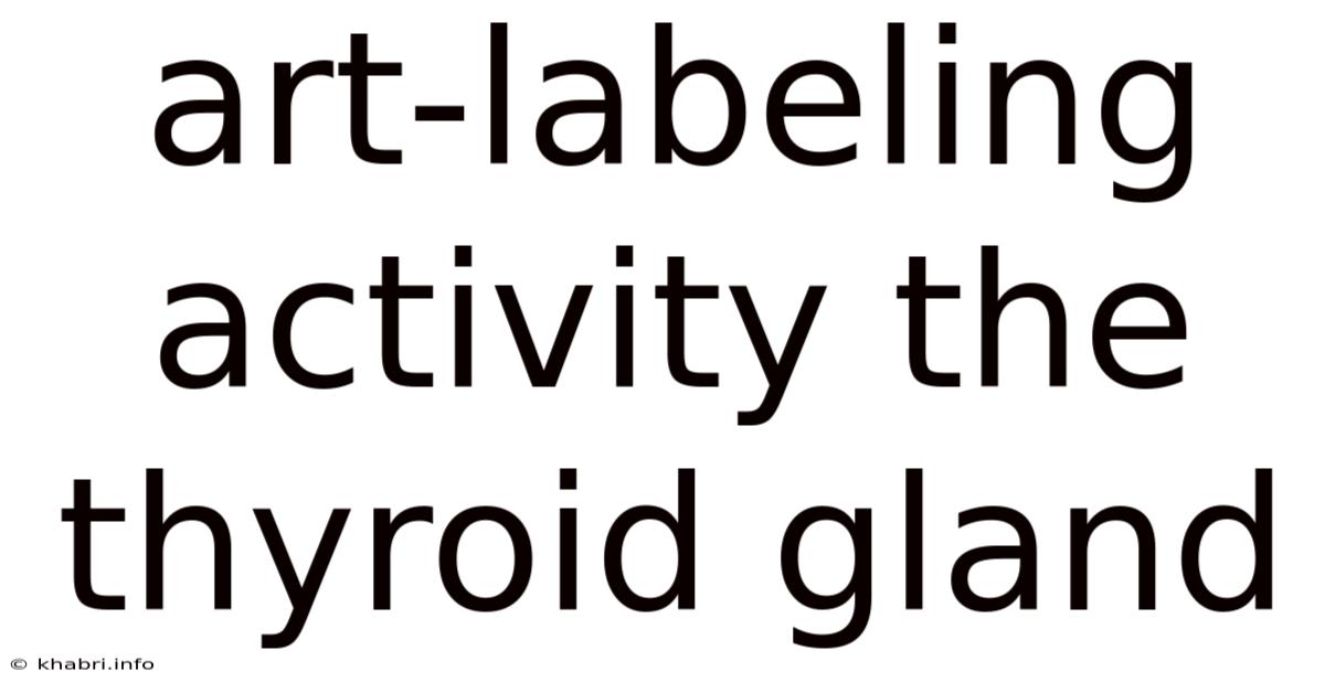 Art-labeling Activity The Thyroid Gland