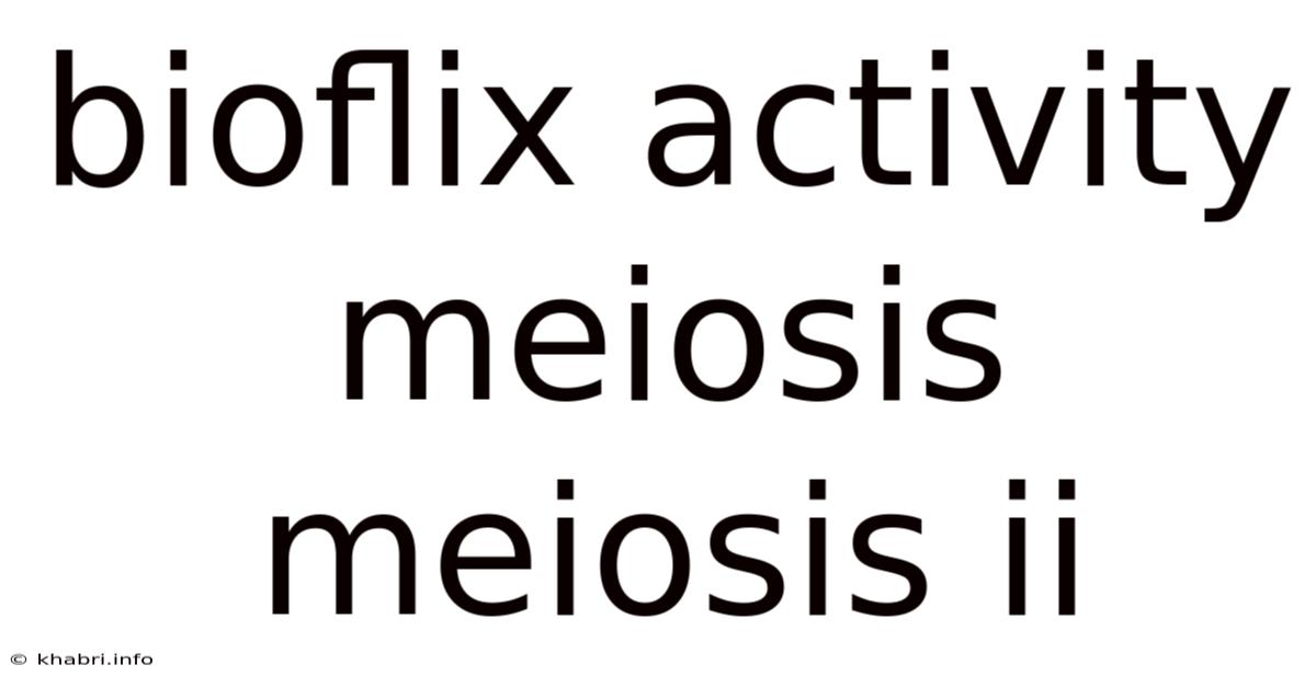 Bioflix Activity Meiosis Meiosis Ii