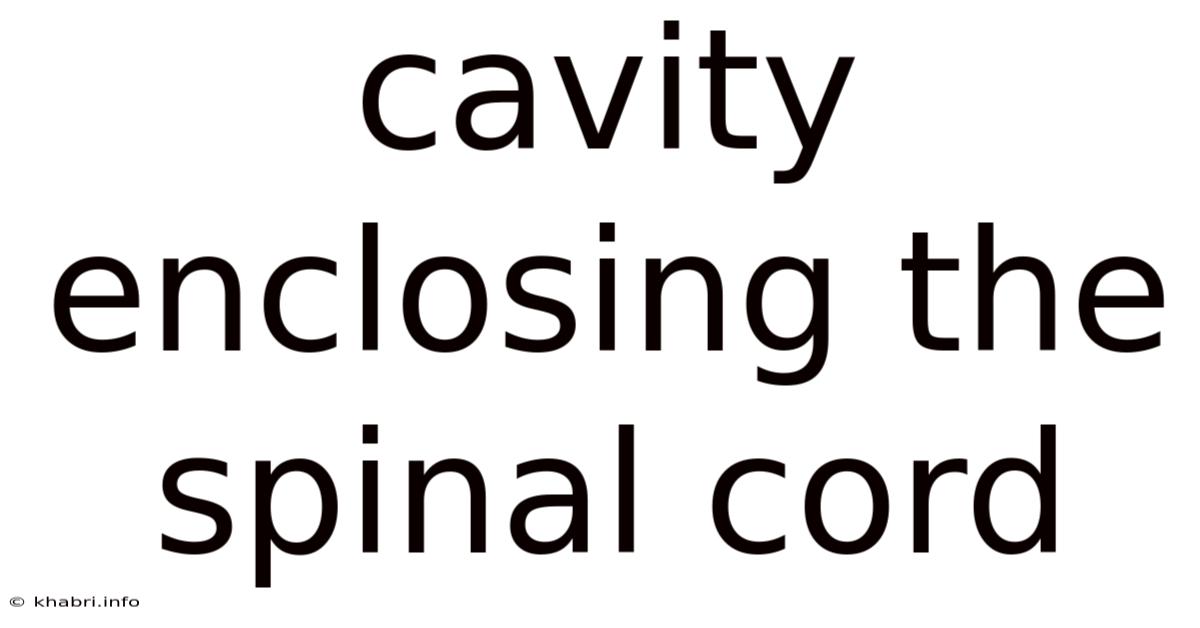 Cavity Enclosing The Spinal Cord