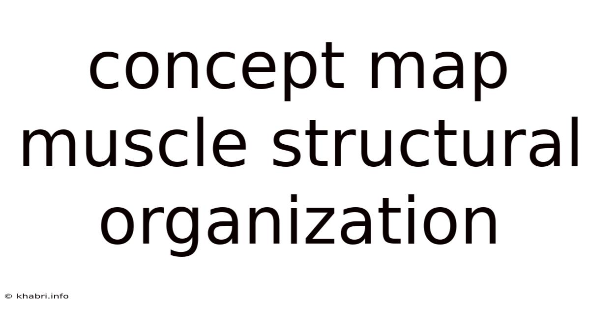 Concept Map Muscle Structural Organization