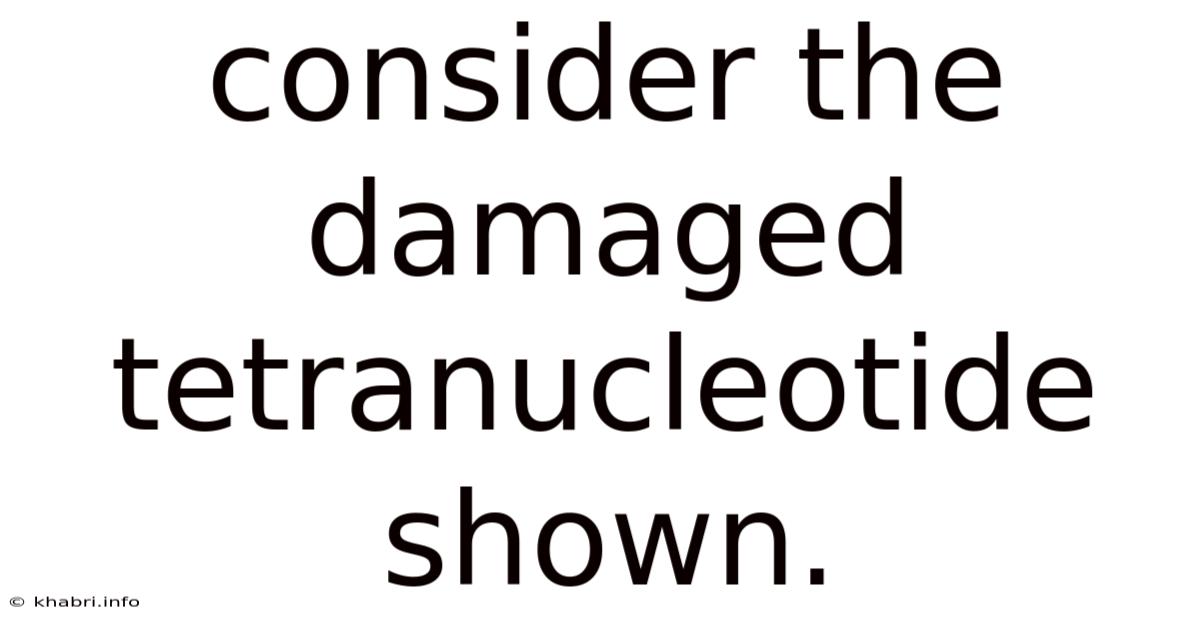 Consider The Damaged Tetranucleotide Shown.