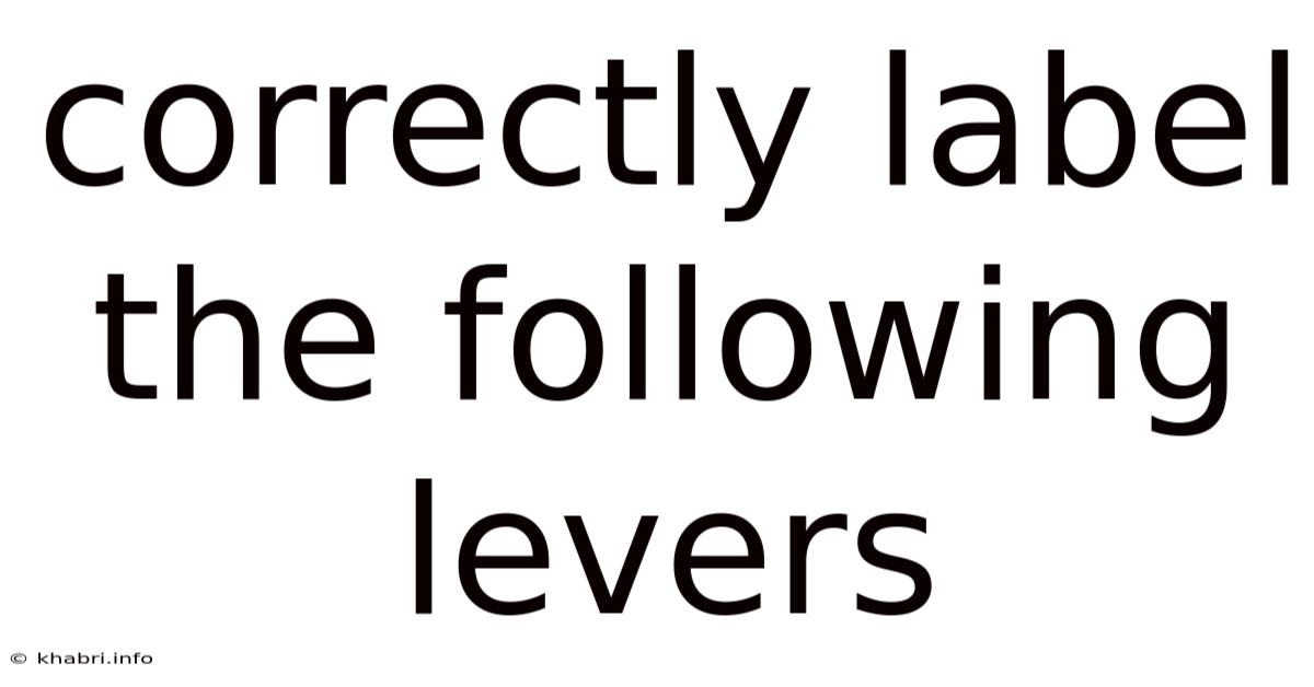 Correctly Label The Following Levers