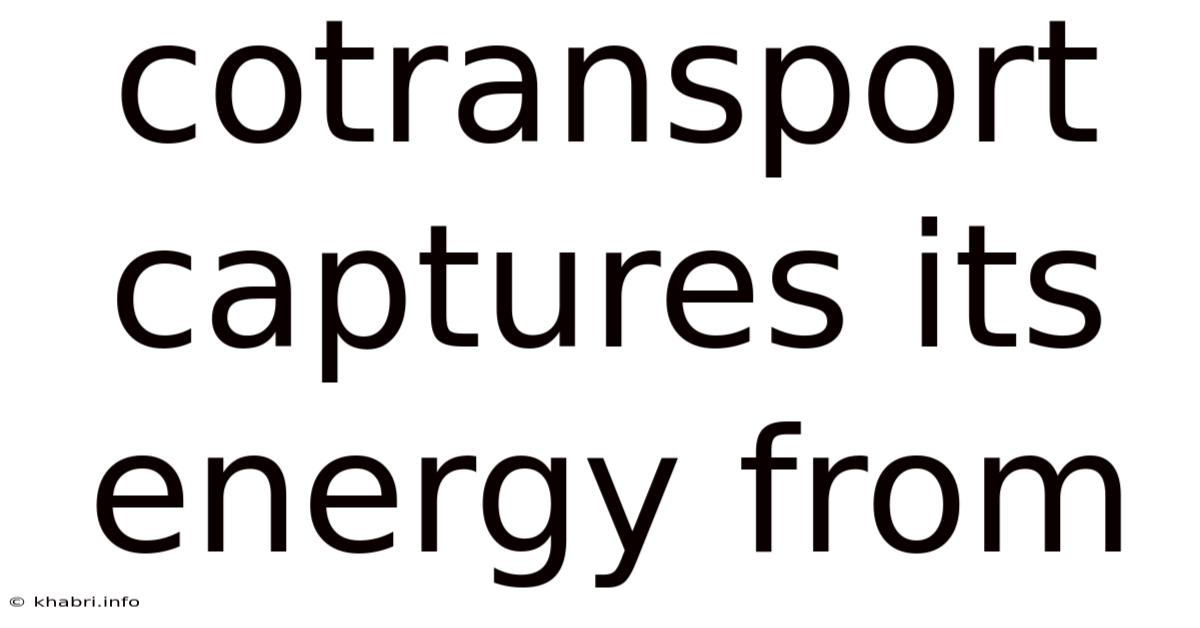 Cotransport Captures Its Energy From