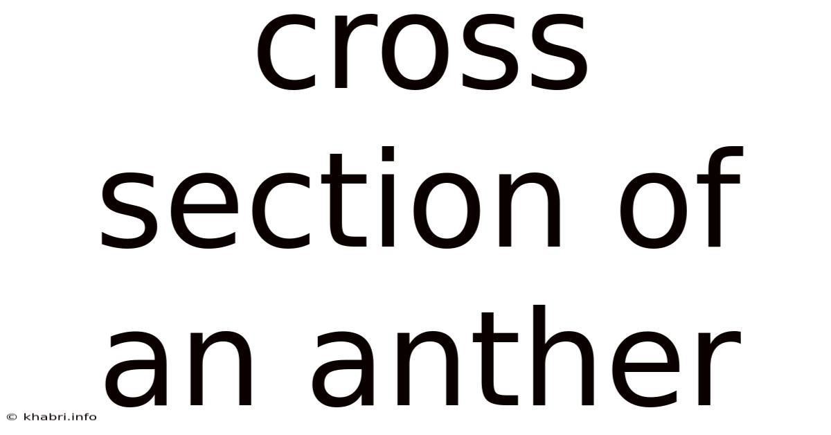 Cross Section Of An Anther