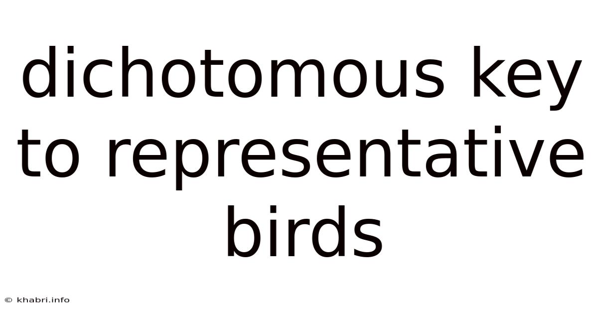 Dichotomous Key To Representative Birds