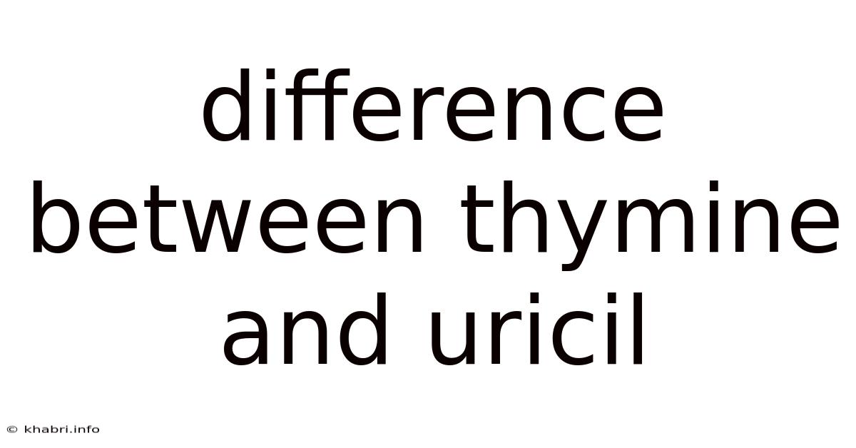 Difference Between Thymine And Uricil