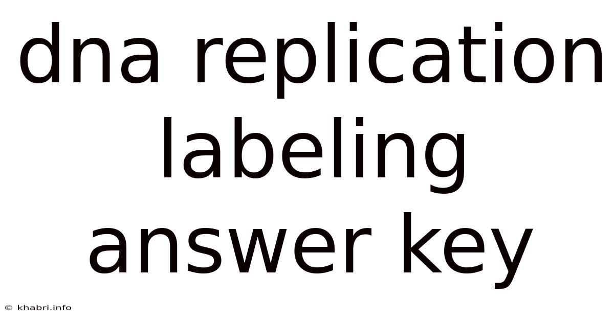 Dna Replication Labeling Answer Key