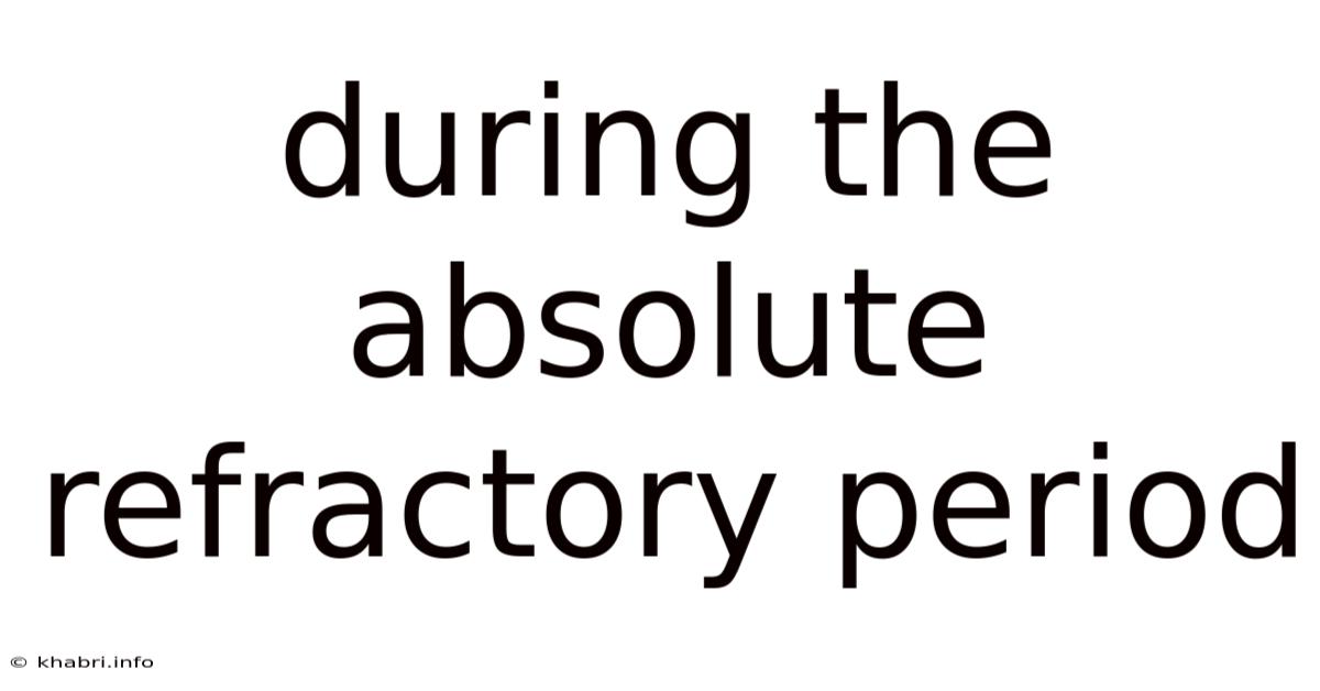 During The Absolute Refractory Period