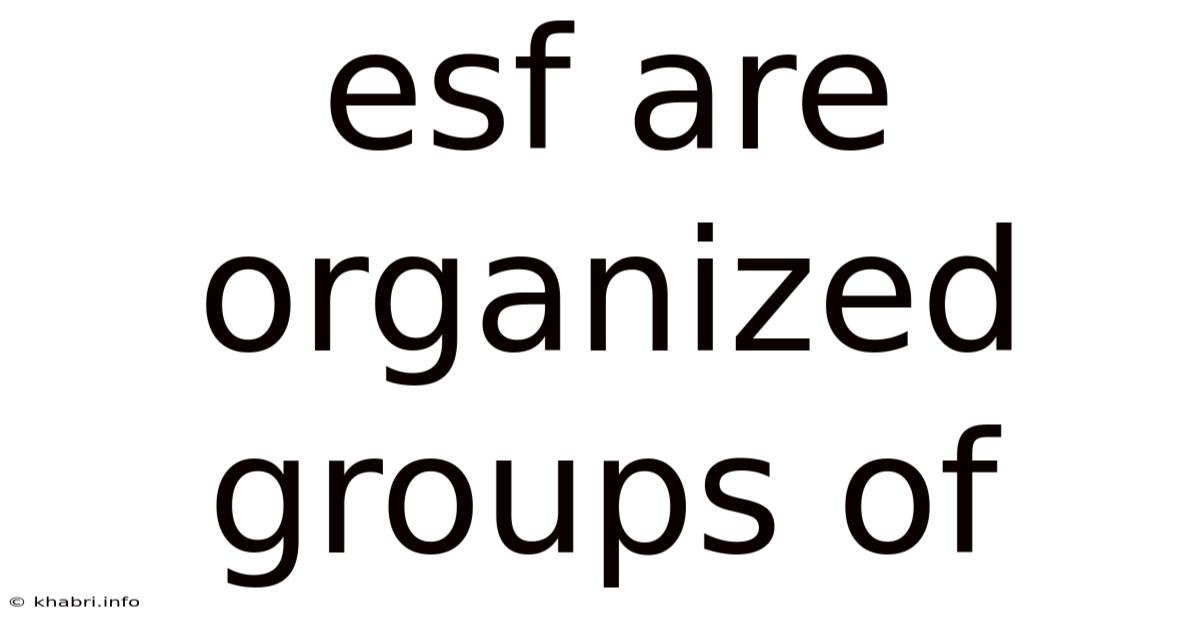 Esf Are Organized Groups Of