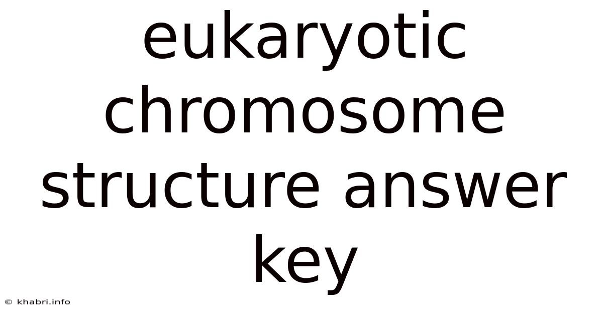 Eukaryotic Chromosome Structure Answer Key