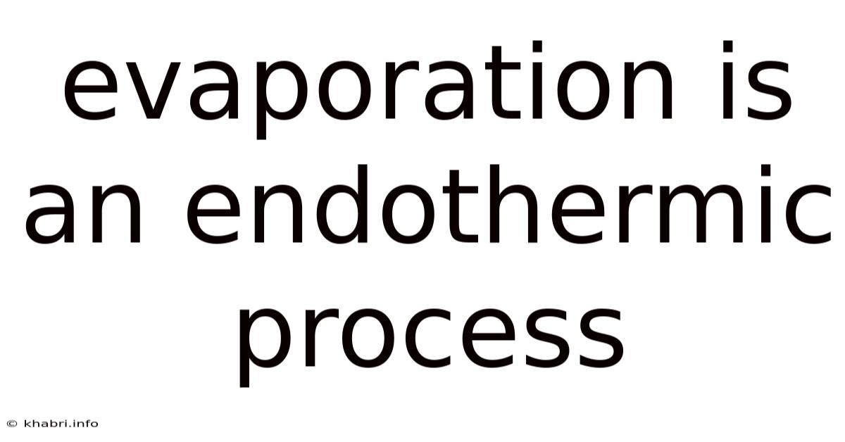Evaporation Is An Endothermic Process
