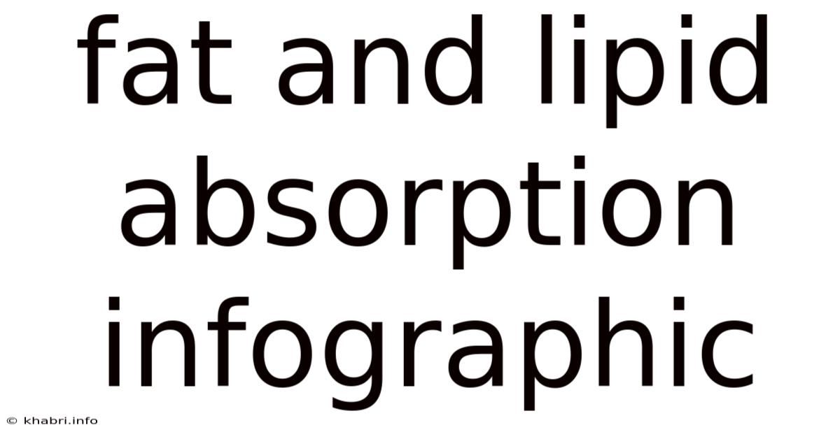 Fat And Lipid Absorption Infographic