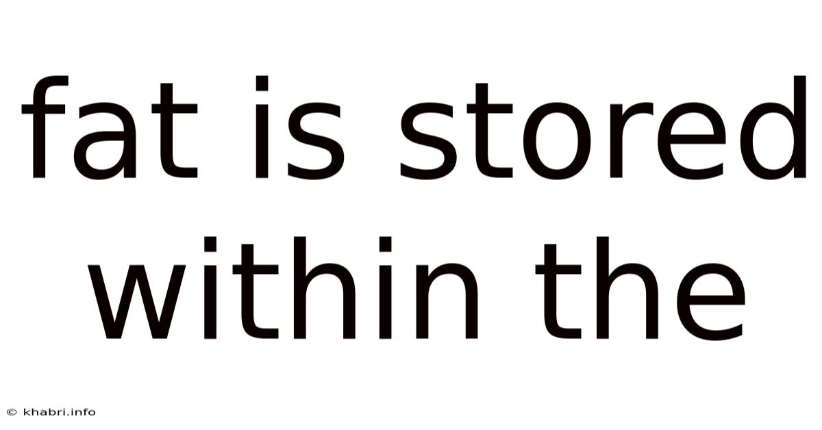 Fat Is Stored Within The