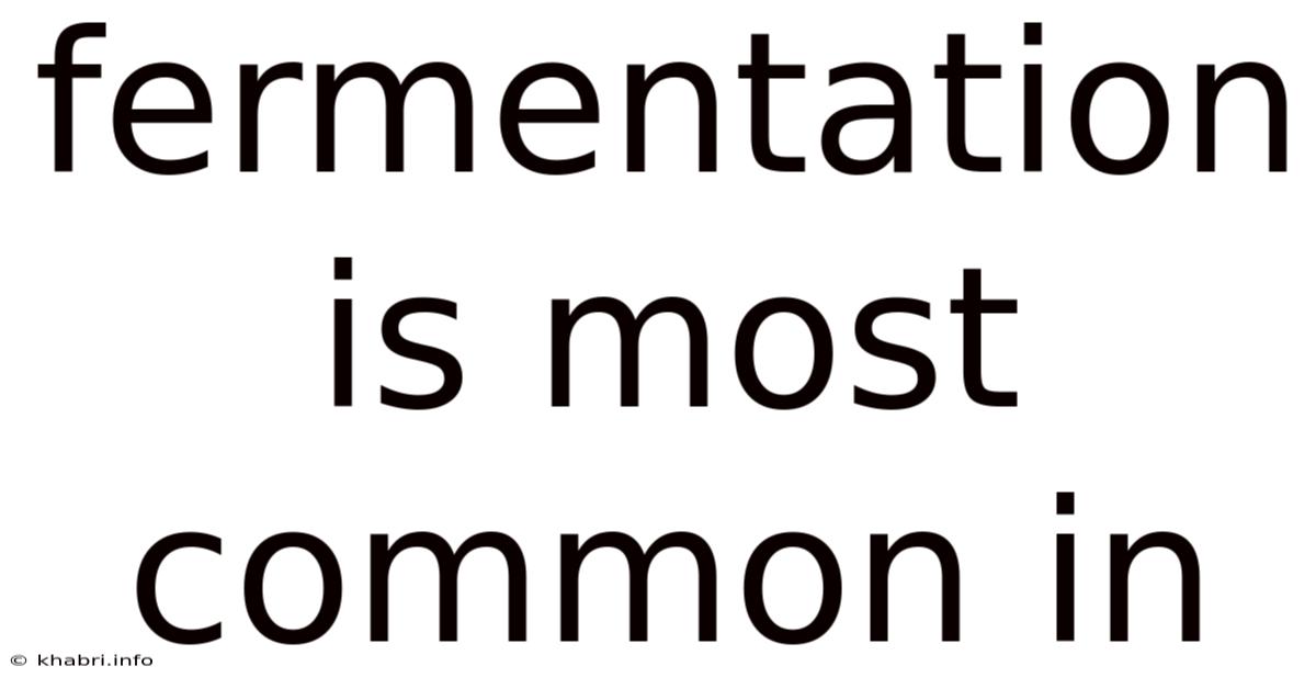 Fermentation Is Most Common In