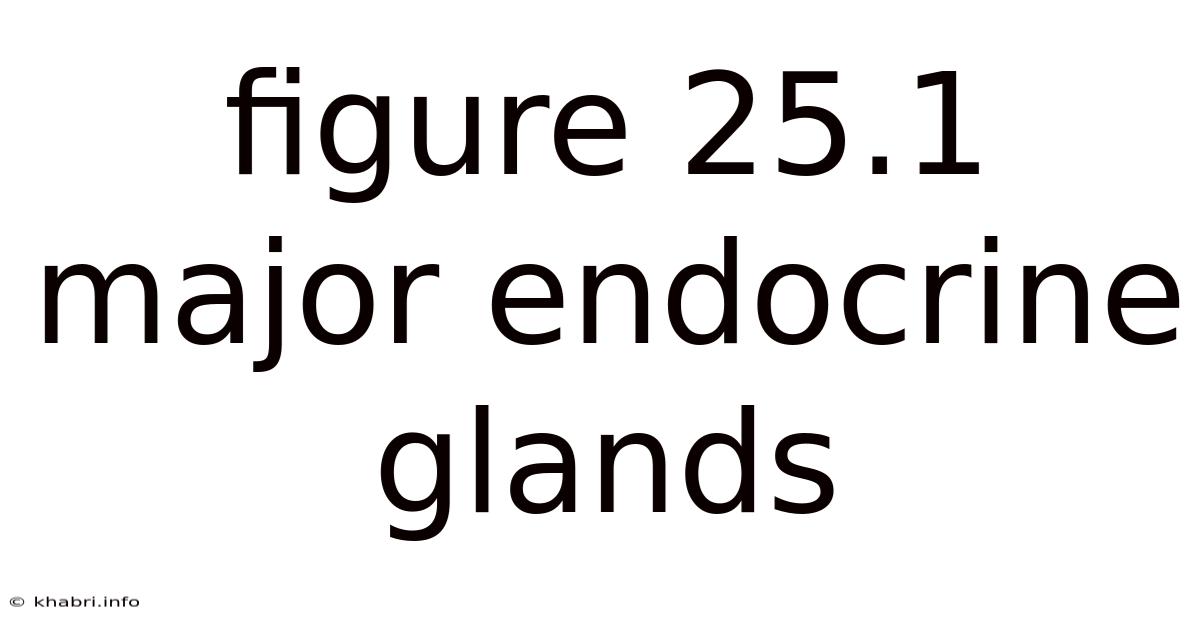 Figure 25.1 Major Endocrine Glands