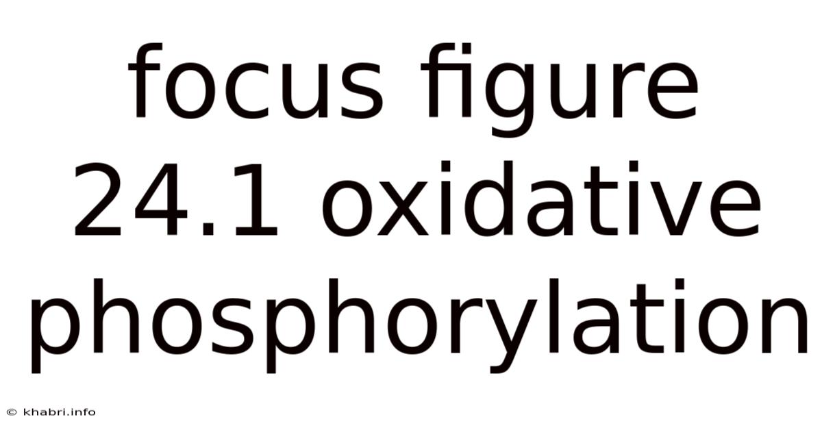 Focus Figure 24.1 Oxidative Phosphorylation