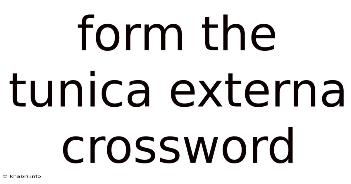 Form The Tunica Externa Crossword