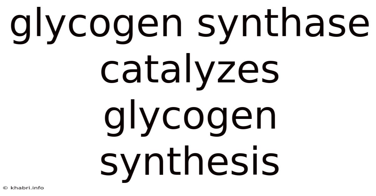Glycogen Synthase Catalyzes Glycogen Synthesis