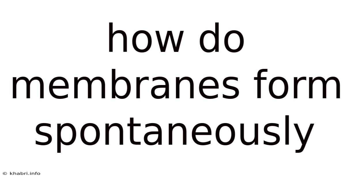 How Do Membranes Form Spontaneously