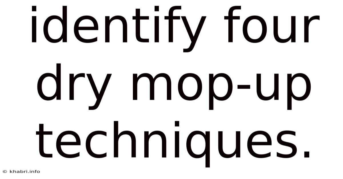 Identify Four Dry Mop-up Techniques.