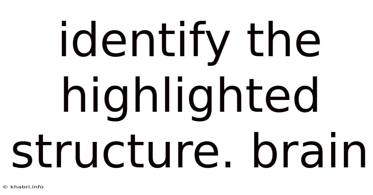 Identify The Highlighted Structure. Brain