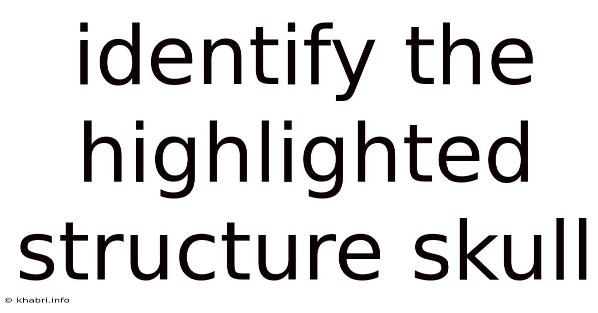 Identify The Highlighted Structure Skull