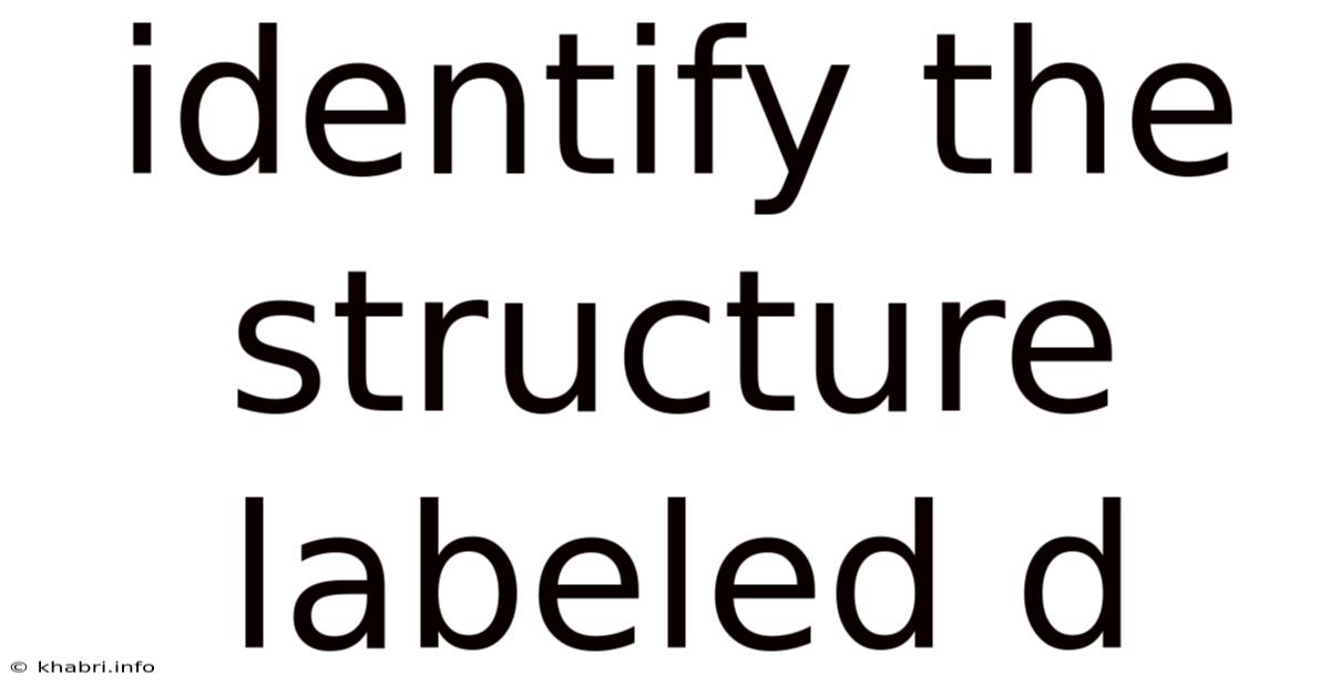 Identify The Structure Labeled D