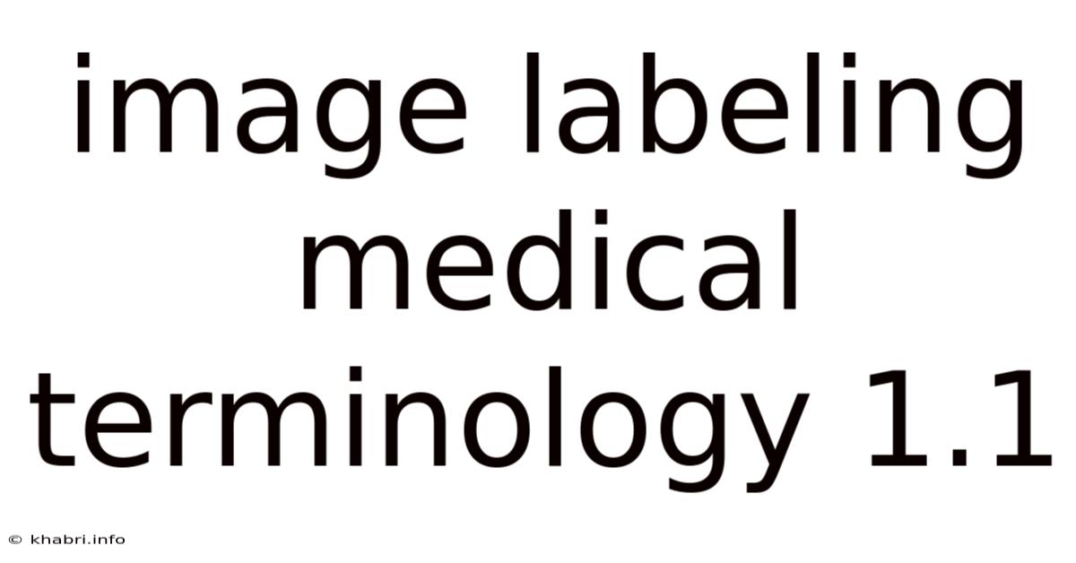 Image Labeling Medical Terminology 1.1