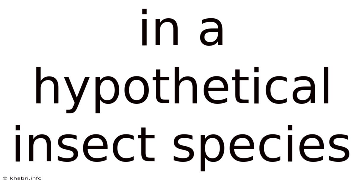 In A Hypothetical Insect Species