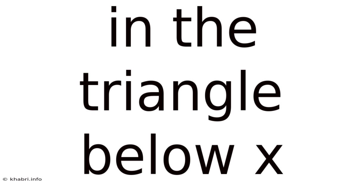 In The Triangle Below X